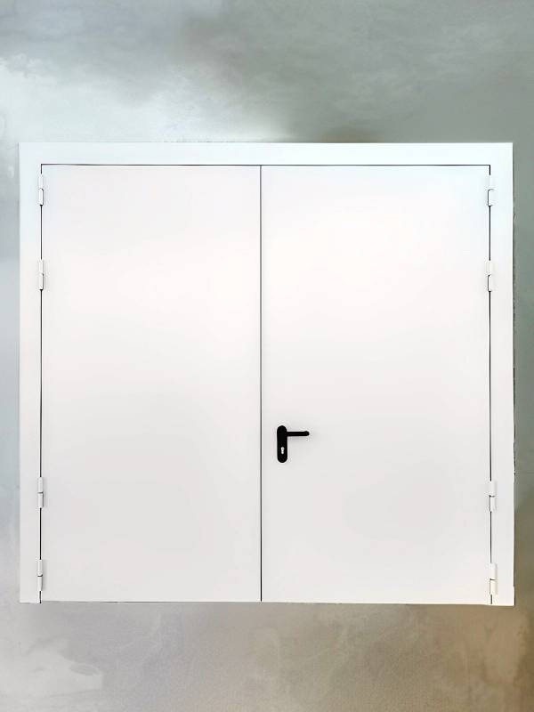 Двупольная дверь с наружной стороны (КП, Истринский р-н)