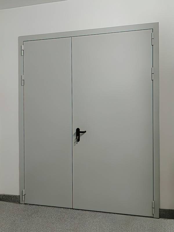 Двупольная дверь Антипаника, фото снаружи («Крокус Экспо»)